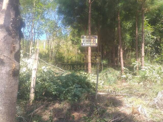 Chácara para Venda em Campos Novos - 4