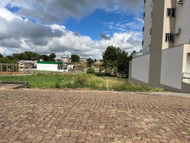 #58740092 - Apartamento para Venda em Campos Novos - SC - 1