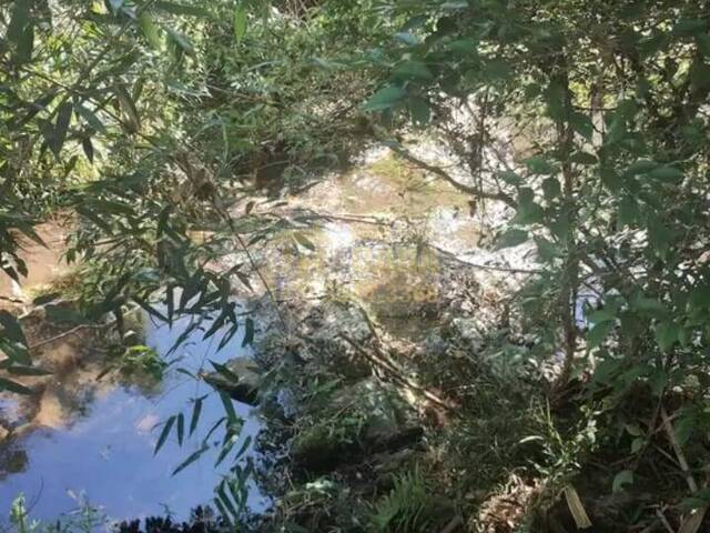 Chácara para Venda em Campos Novos - 5