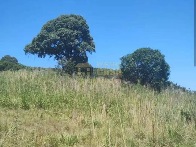 #58740104 - Chácara para Venda em Campos Novos - SC - 3