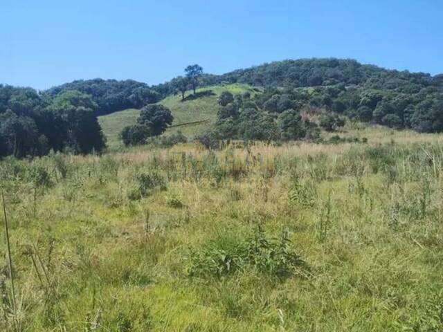 Chácara para Venda em Campos Novos - 4