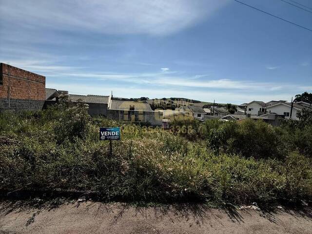 #58740111 - Área para Venda em Campos Novos - SC - 2