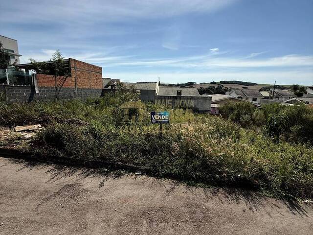 #58740111 - Área para Venda em Campos Novos - SC - 3