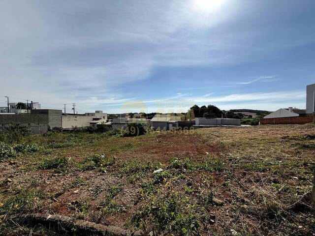 #58740112 - Área para Venda em Campos Novos - SC - 3