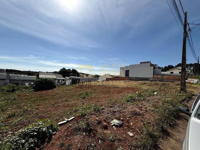Área para Venda em Campos Novos - 4