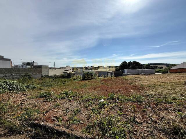 Área para Venda em Campos Novos - 5