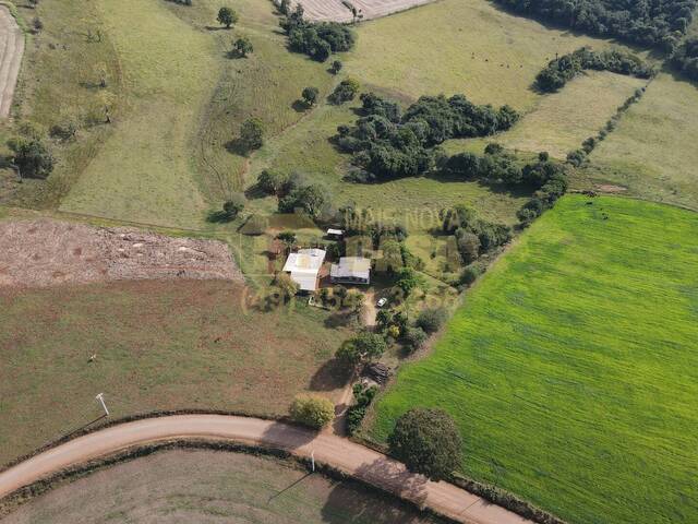 Chácara para Venda em Campos Novos - 4