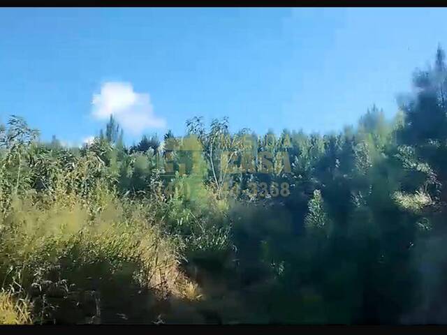 #58740120 - Chácara para Venda em Ibiam - SC - 2