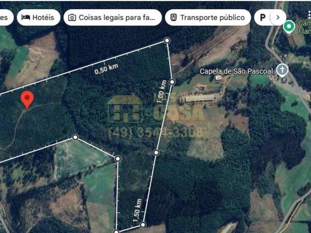 Venda em Distrito de Bela Vista - Campos Novos