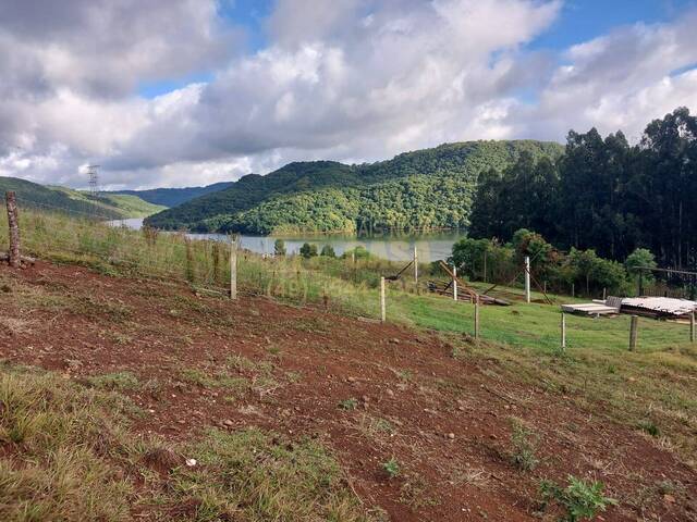 Chácara para Venda em Campos Novos - 4