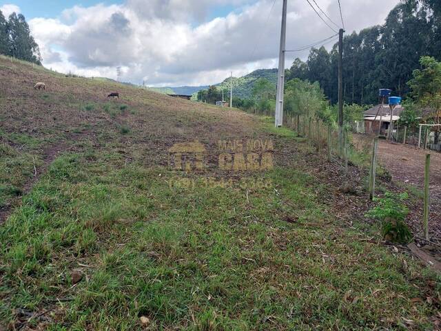 #58740125 - Chácara para Venda em Campos Novos - SC - 3