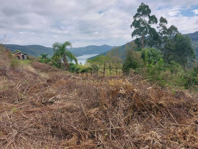 Chácara para Venda em Campos Novos - 5
