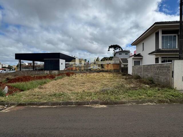 #58740127 - Área para Venda em Campos Novos - SC - 2