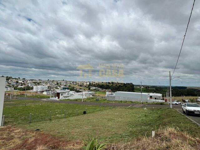 #58739838 - Área para Venda em Campos Novos - SC - 2
