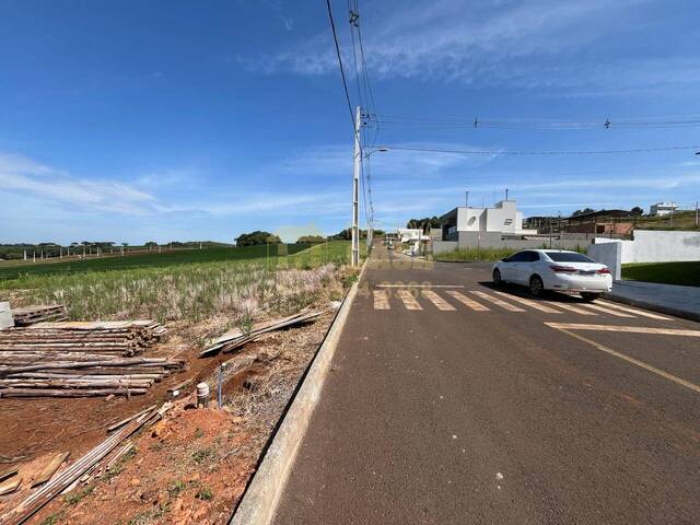 #58740129 - Área para Venda em Campos Novos - SC - 3