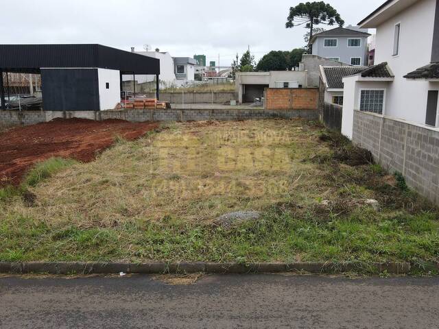 #58740127 - Área para Venda em Campos Novos - SC - 3