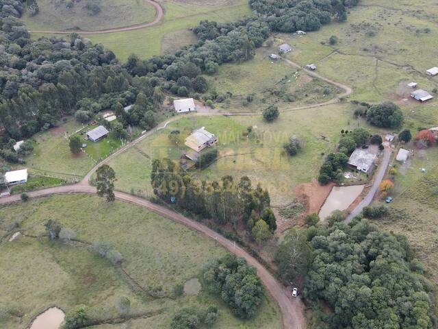 Chácara para Venda em Campos Novos - 4