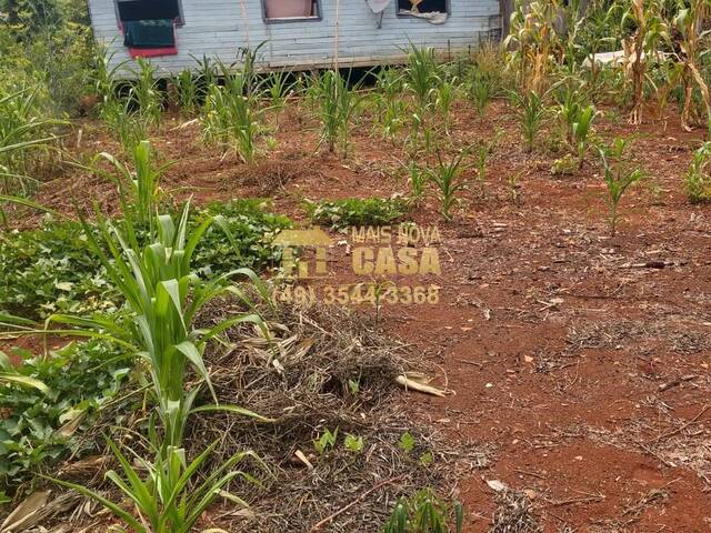 Casa para Venda em Zortéa - 5