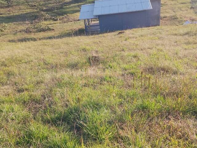Chácara para Venda em São Cristovão do Sul - 4