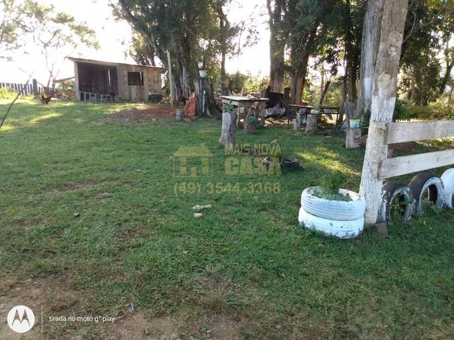 Chácara para Venda em Pinhal da Serra - 4
