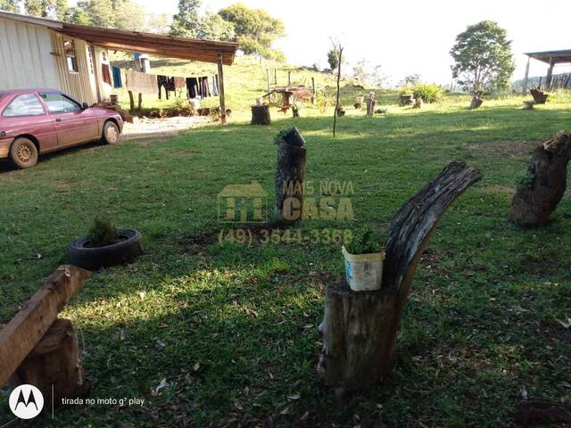 #58740153 - Chácara para Venda em Pinhal da Serra - RS - 2