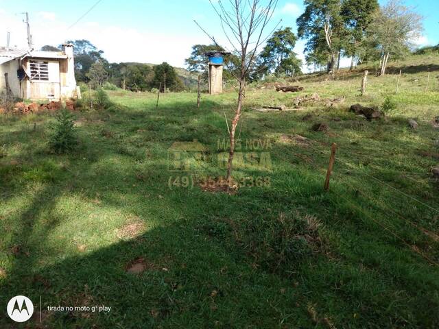 #58740153 - Chácara para Venda em Pinhal da Serra - RS - 3