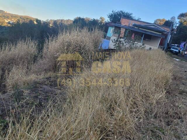#58740171 - Área para Venda em Ouro - SC - 2