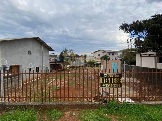 #58740086 - Área para Venda em Campos Novos - SC - 3