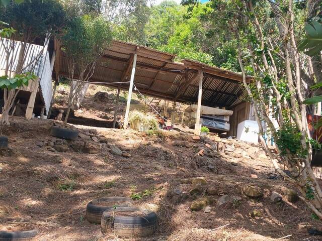 #58740174 - Chácara para Venda em Campos Novos - SC - 3