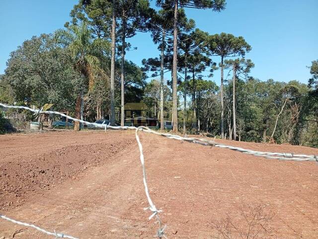 #58740192 - Área para Venda em Vargem - SC - 2