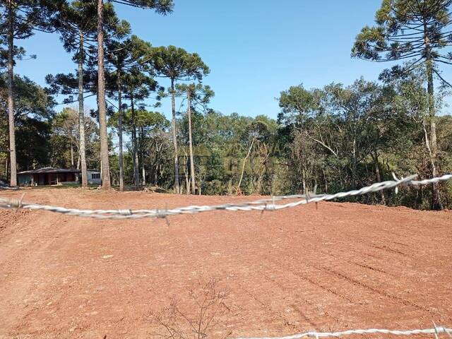 #58740192 - Área para Venda em Vargem - SC - 3