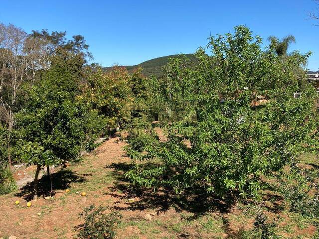 #58740214 - Chácara para Venda em Campos Novos - SC - 2