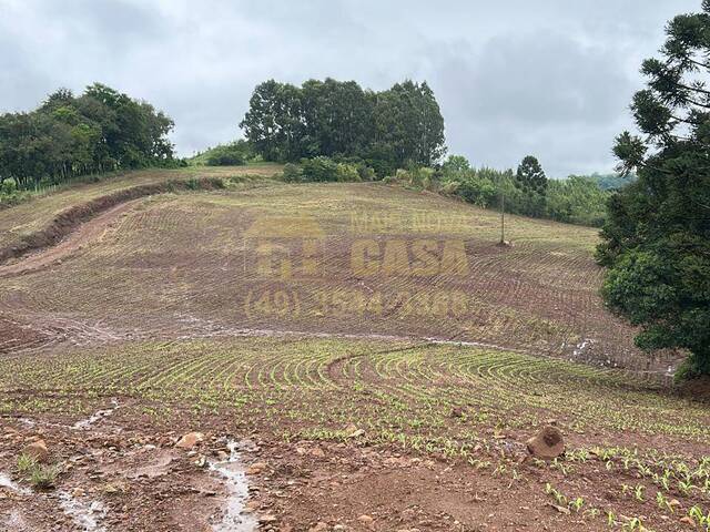 Venda em interior - Campos Novos