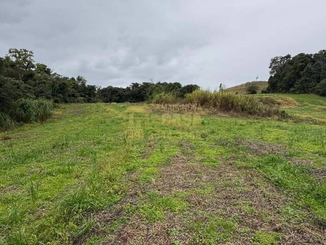 Chácara para Venda em Campos Novos - 4