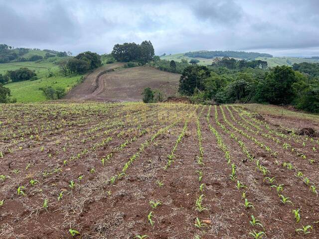 #58740219 - Chácara para Venda em Campos Novos - SC - 2