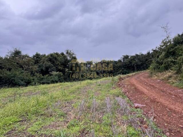 Chácara para Venda em Campos Novos - 5