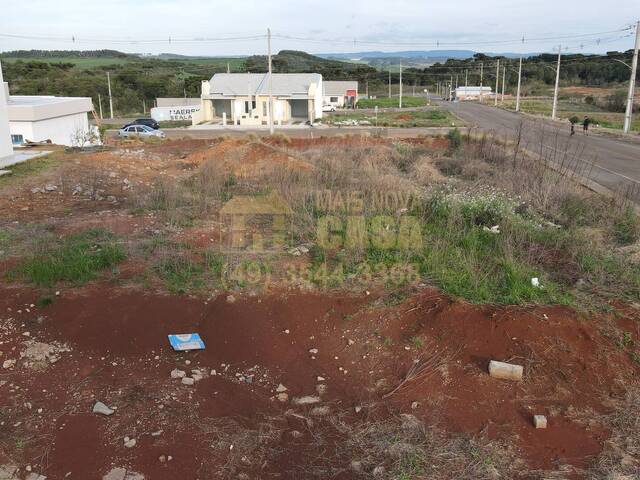 Área para Venda em Campos Novos - 4