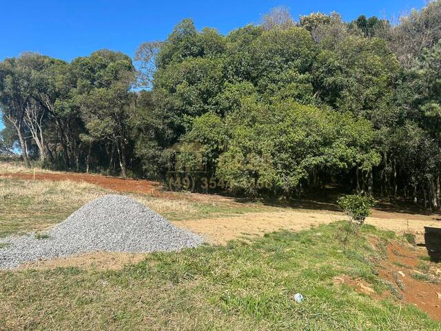 Chácara para Venda em Campos Novos - 4