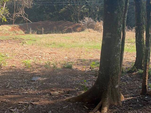 Chácara para Venda em Campos Novos - 5