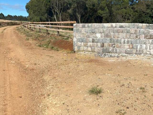 #58740222 - Chácara para Venda em Campos Novos - SC - 3