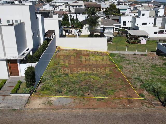 Terreno para Venda em Campos Novos - 5