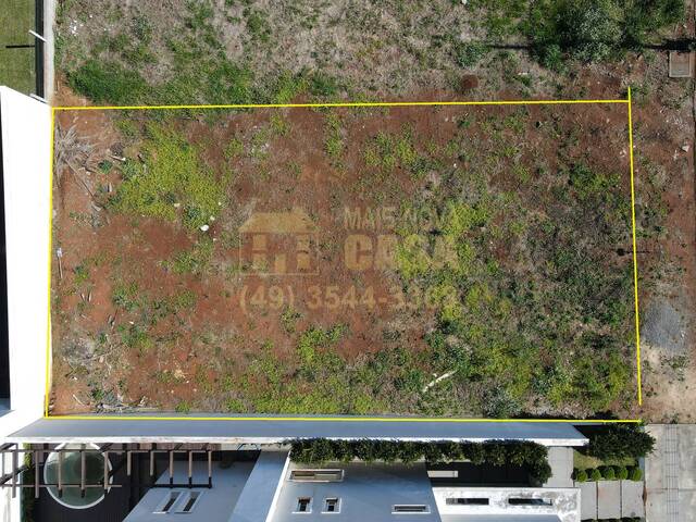 Terreno para Venda em Campos Novos - 4