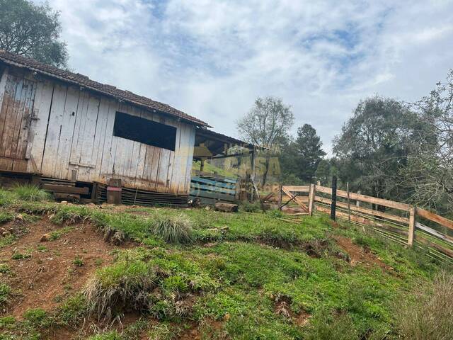 #58740237 - Chácara para Venda em Monte Carlo - SC - 2