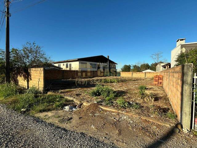 Urbano para Venda em Campos Novos - 4