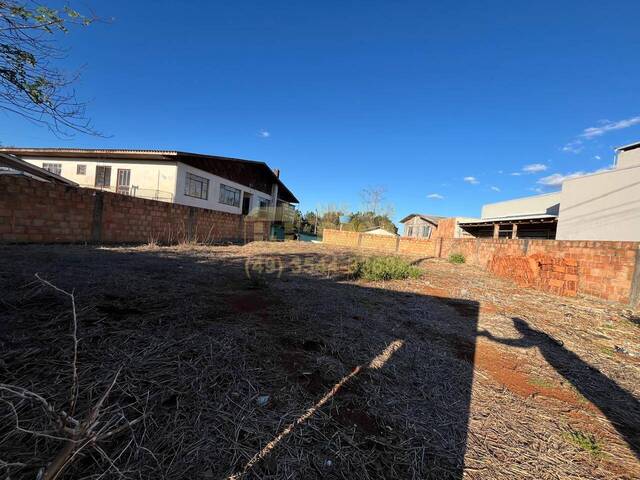 Urbano para Venda em Campos Novos - 5