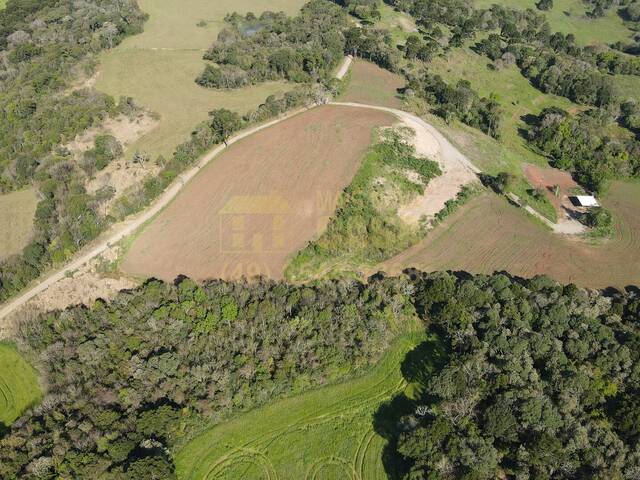 #58740240 - Chácara para Venda em Campos Novos - SC - 3