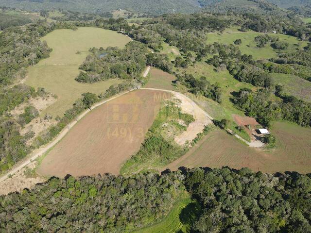 Venda em COMUNIDADE DE SÃO SIMÃO - Campos Novos