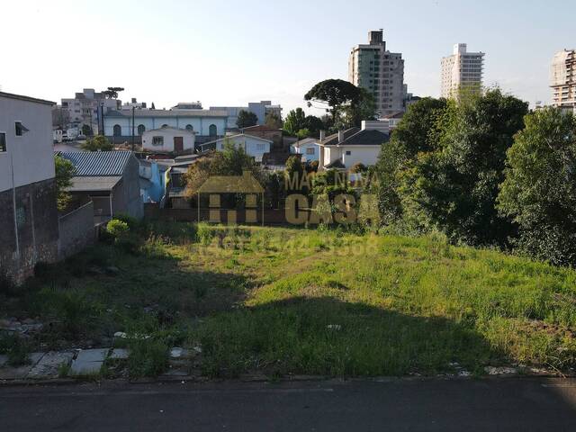 #58740242 - Área para Venda em Campos Novos - SC - 2
