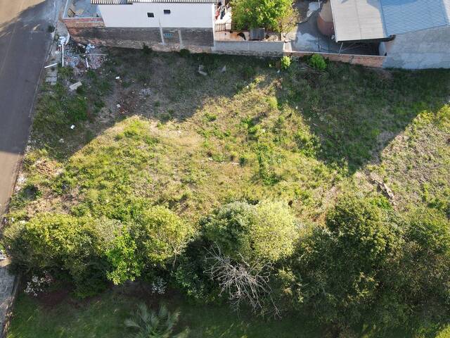 Área para Venda em Campos Novos - 4
