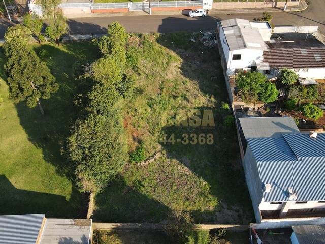 Área para Venda em Campos Novos - 5